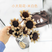 С̫ꖻɻMϸɻ ˇ 廨 ҾӔ[  cb 