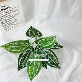 仿真植物绿植小盆栽装饰叶子植物墙配材彩色玉兰叶变叶木