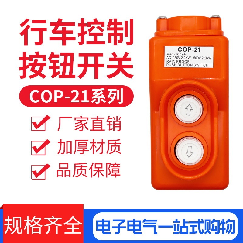COP-21 direct control switch up and down button directly control electric hoist