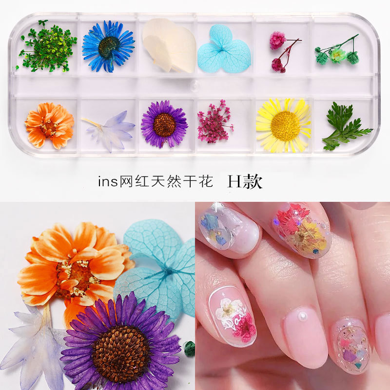 Nuevo clavo japonés flor seca 12 color estrella girasol Margarita 12 color flor seca decoración 24 uñas flores secas