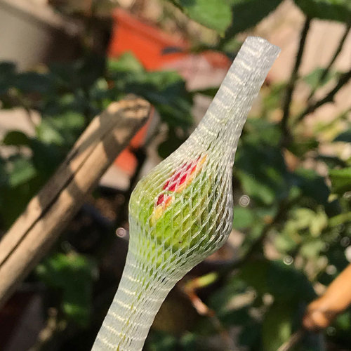 Guangzhou Plastic Mesh Factory Direct Sale Rose Mesh Bags, Chrysanthemum Lily Shaping Packaging Mesh, Fresh Flower Mesh Covers