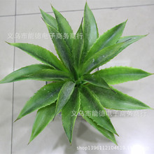 ����ֲ���J�Cֲ���Ĳ��}�Ꭷ����ֲ��������ϲ��J�C�����l