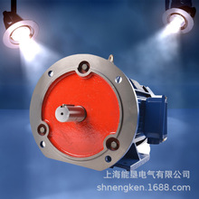 YE2-250M-2 4 6 8�O���ஐ��늄әC55KW4��늙C�~��380V�R�_ǧ��