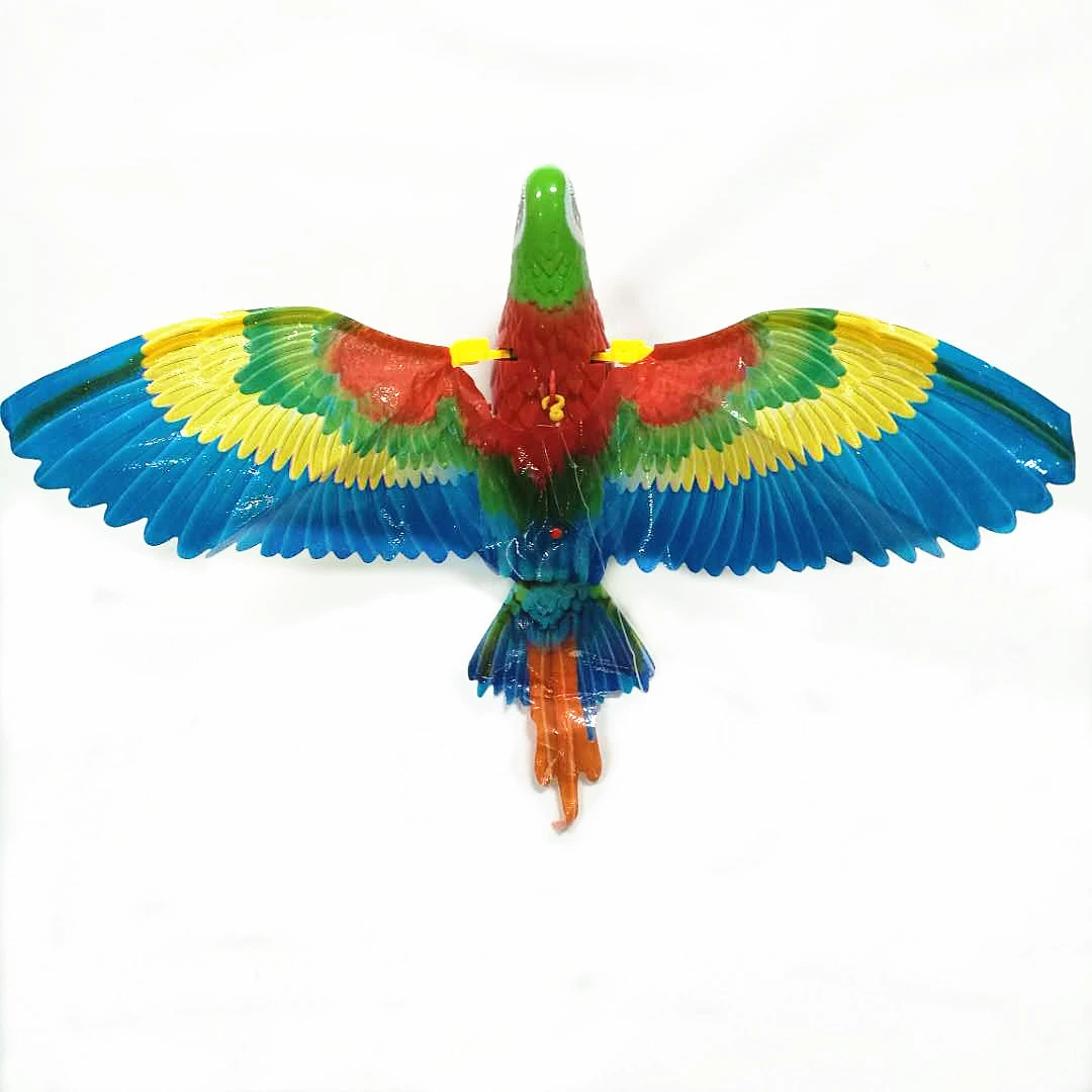 Electric toy, eagle, pet
