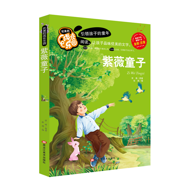 Ziwei boy
