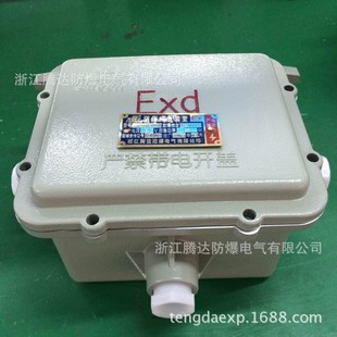 Explosion-Proof Ballast Box Bdh Wholesale Explosion-Proof Ballast Housing Explosion-Proof Fluorescent Emergency Device Source Fac
