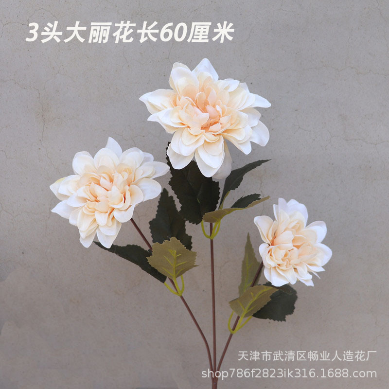 3 달리