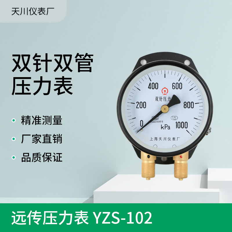 YZS-102双针双管压力表铁路面板压力表 1000KPa上海天川压力表