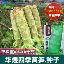 �ļ��n�S�N�� �r��ˈ@�����n�ļ��~��GƤ���n�S�߲������l