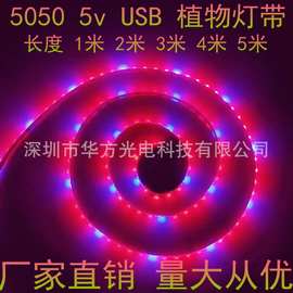 5v灯带 led灯带5050灯带 植物灯带 USB植物补光灯带