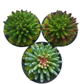 仿真绿植;仿真花;仿真枝叶和树