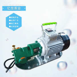 WCB小型手提式齿轮泵 便携式手提齿轮泵 可家用电动抽油泵水泵
