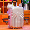 Suitcase, piggy bank