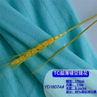 TC�U���Ứᘿ����� TC110����Ȧ�ݼy�� �냺���з�ͯŮ�bT�����