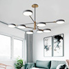 Scandinavian modern ceiling lamp for living room, creative design lights