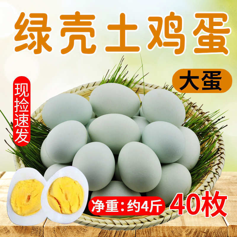 40枚包邮农家散养绿壳土鸡蛋乌鸡蛋柴鸡蛋绿壳鸡蛋绿壳蛋批发营养