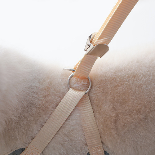 Factory direct supply pet leash Korean style bow pet harness vest style cat and dog leash