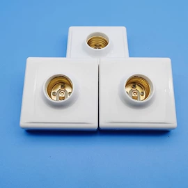 灯头、灯座;电源插头;工业插座