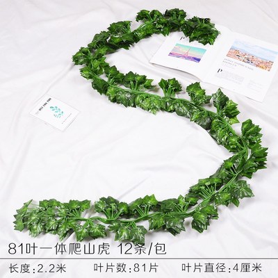 81 hoja escalada Tiger Leaf 1 Pack (12 piezas)