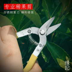 Fruit tree pruning scissors stainless steel household gardening scissors pruning shears branch scissors floral scissors manufacturer fruit scissors