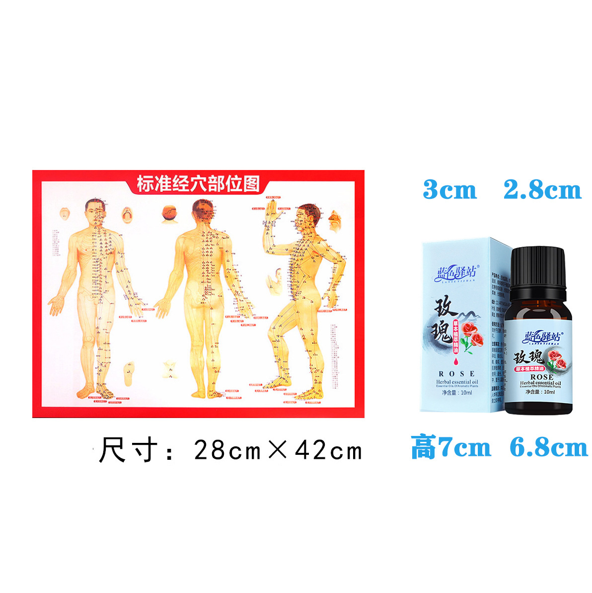 에센셜 오일 경혈 다이어그램