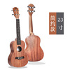 Ukulele with a score, guitar, practice, musical instruments, 23inch, 21inch