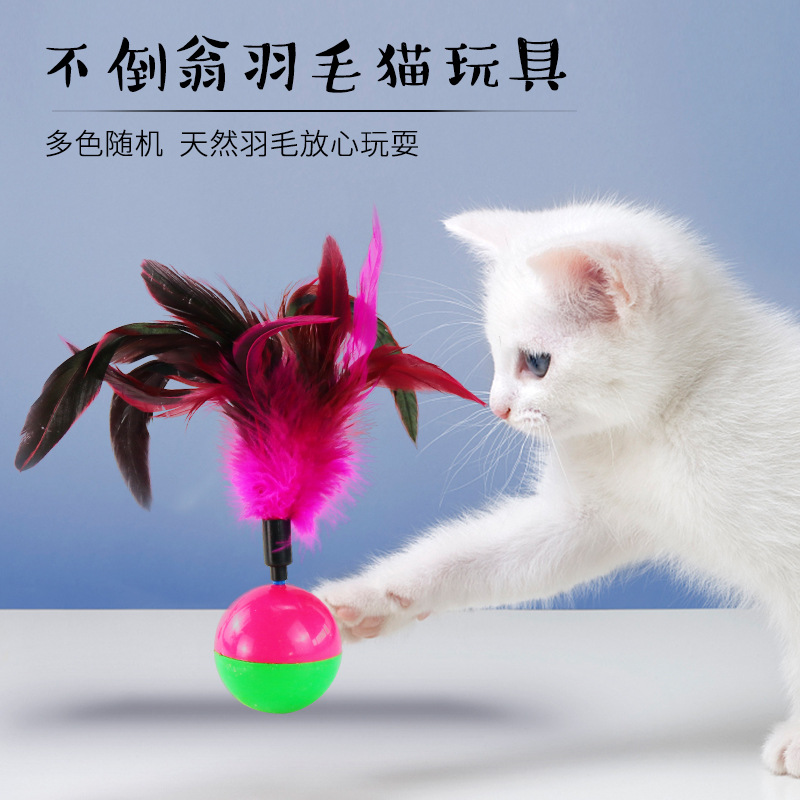 Suministro directo de fábrica popular pluma vaso gato juguete interactivo educativo divertido gato juguete automático divertido gato juguete