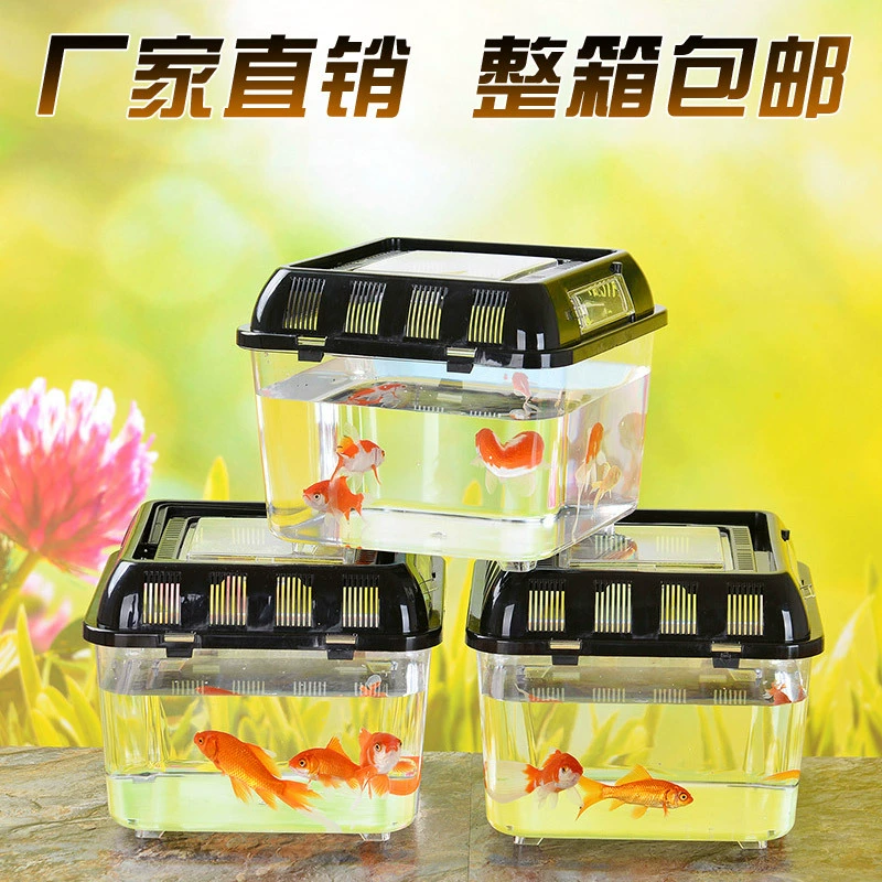 Plastic aquarium, wholesale