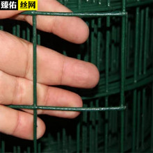 �S�ҹ������ܺ��m�W�Gɫ�F�z�W�����Bֳ�B�u���@�o�ھW���o����