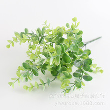 ���~���ȼ���ע�ܾGɫֲ�����Ի�ˮ�� ֲ�����ֲ�� ���X�~ ����