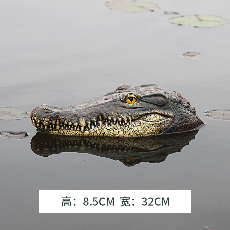 32cm 악어 머리 SW00870