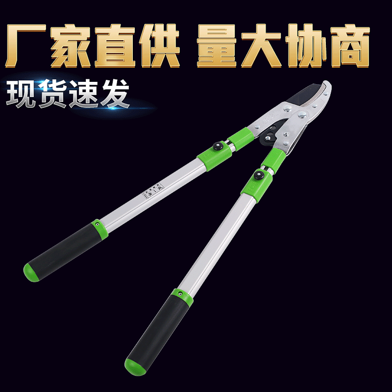 修枝剪粗枝剪刀果树树枝剪强力伸缩园艺大剪园林花枝剪SK5粗枝剪