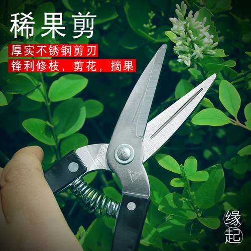 Fruit tree pruning scissors stainless steel household gardening scissors pruning shears branch scissors floral scissors manufacturer fruit scissors