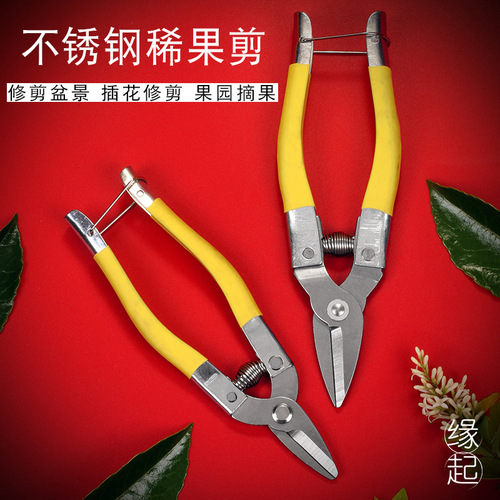Fruit tree pruning scissors stainless steel household gardening scissors pruning shears branch scissors floral scissors manufacturer fruit scissors