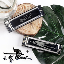 天鹅牌10孔全音阶口琴 10孔20音布鲁斯口琴批发 初学吹奏乐器口琴