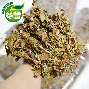 ����ɏ����؛ȫ��ֱ�� ��ɏ ���·Nֲ ��ɏ�����Ʒʳ��