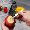 Fruit fork stainless steel, fruit spoon, ice cream