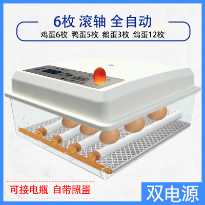 Incubadora de pollos al por mayor de comercio exterior, incubadora inteligente pequeña para el hogar, incubadora de huevos transfronteriza, incubadora de huevos inteligente