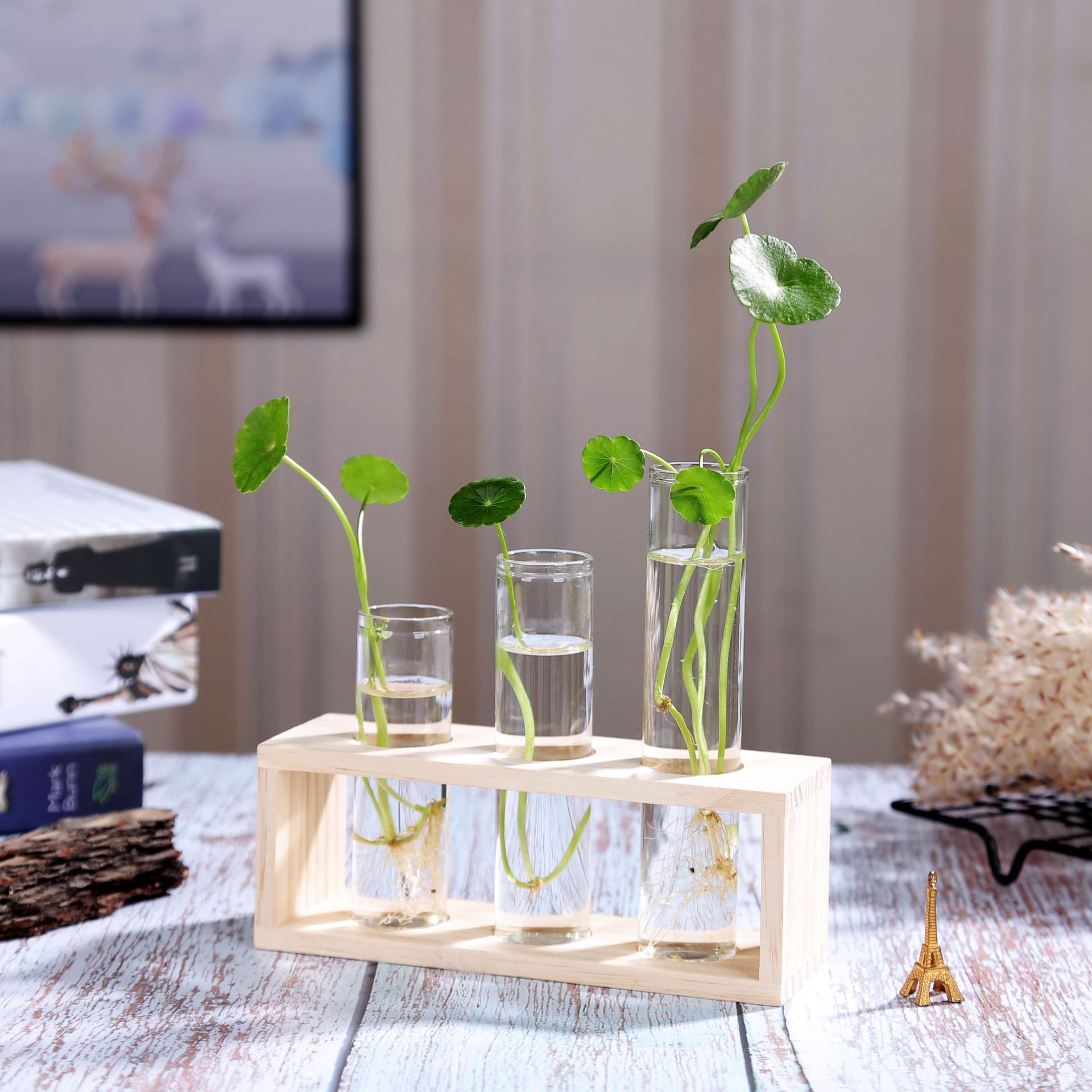 European Test Tube Vase Green Dill Plant Hydroponic Vase Home Decoration Creative Living Room Wall Hanging Flower Stand Ornaments