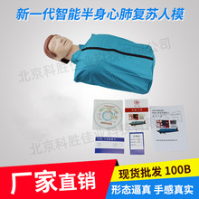 半身简易型心肺复苏模拟训练假人驾校设备触电急救模型仿真CPR100