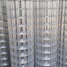 厂家现货供应镀锌电焊网 圈玉米网  热镀锌电焊网 多种型号 支持