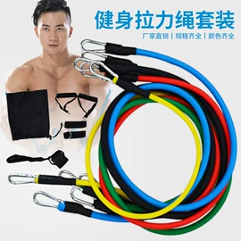 拉力器握力器;其他球类配套;体操用品