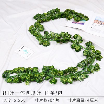 81 piezas de hojas de sandía 1 paquete (12 piezas)