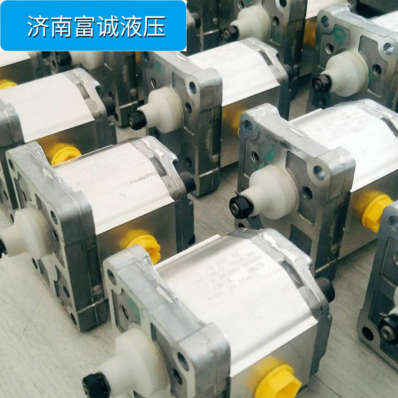 特惠供应SNP3NN/048RN06AAP1BBBANNNN/NNNNN萨奥丹佛斯液压齿轮泵