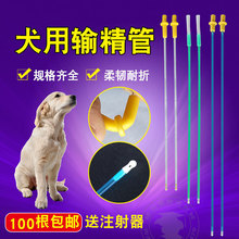 狗用人工受精器输精管 养殖业狗狗输精管针 犬用宠物一次性输精枪