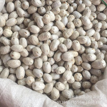 ��؛���۹� ������ͨ ������ ��ˇƷ ��؛���l ˮϴԭɫ