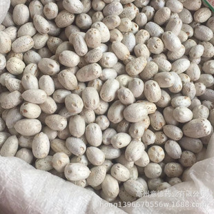 ��؛���۹� ������ͨ ������ ��ˇƷ ��؛���l ˮϴԭɫ