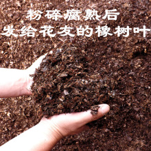 兰花专用松针土橡树叶腐叶种植土腐熟松针多肉植物绿萝无土纯松针