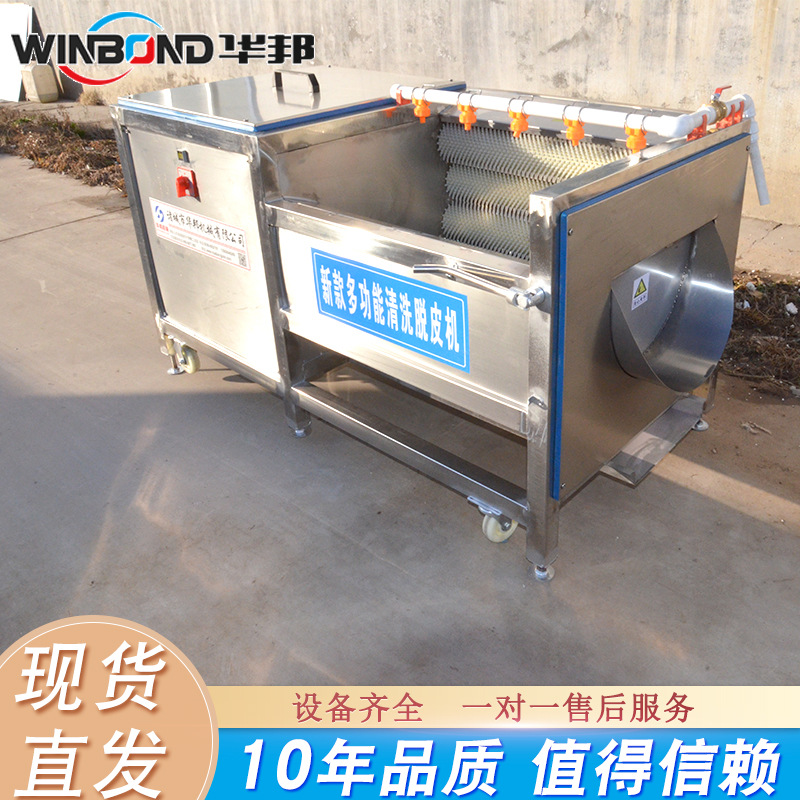 黄桃去皮机 批量生产大枣毛辊去皮机 推荐不锈钢毛辊清洗去皮机