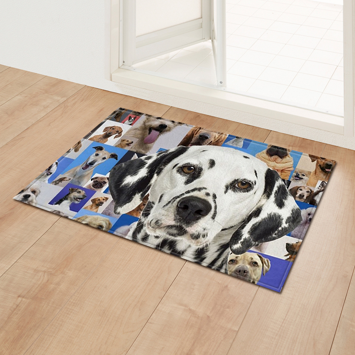 Entrada de bienvenida pequeña alfombra de piso transfronterizo absorbente antideslizante alfombra de piso baño dormitorio sala de estar puerta alfombra de bienvenida